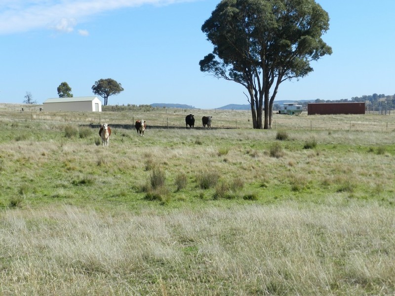Lot 2 Karinya Road, Binda NSW 2583