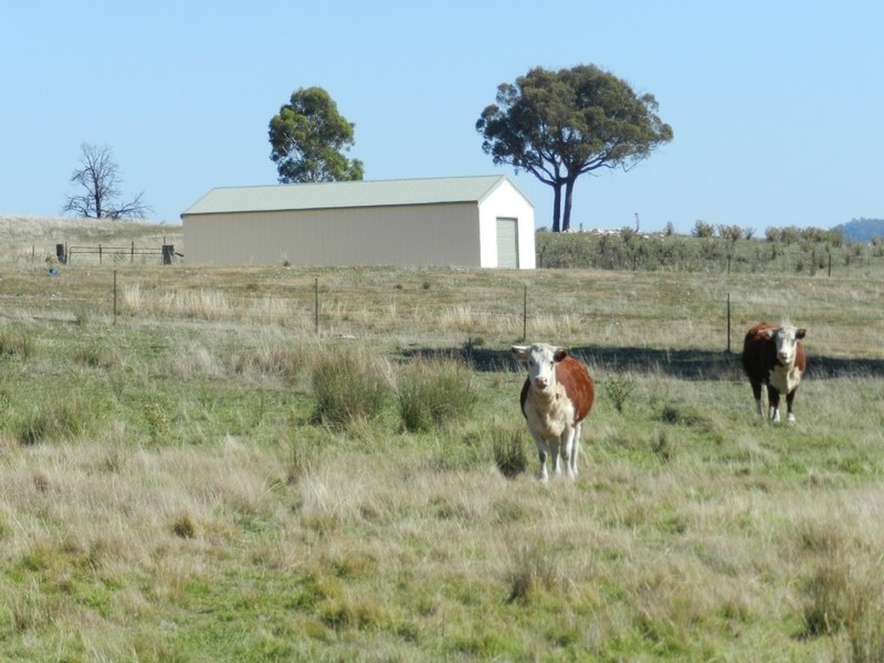 Lot 2 Karinya Road, Binda NSW 2583