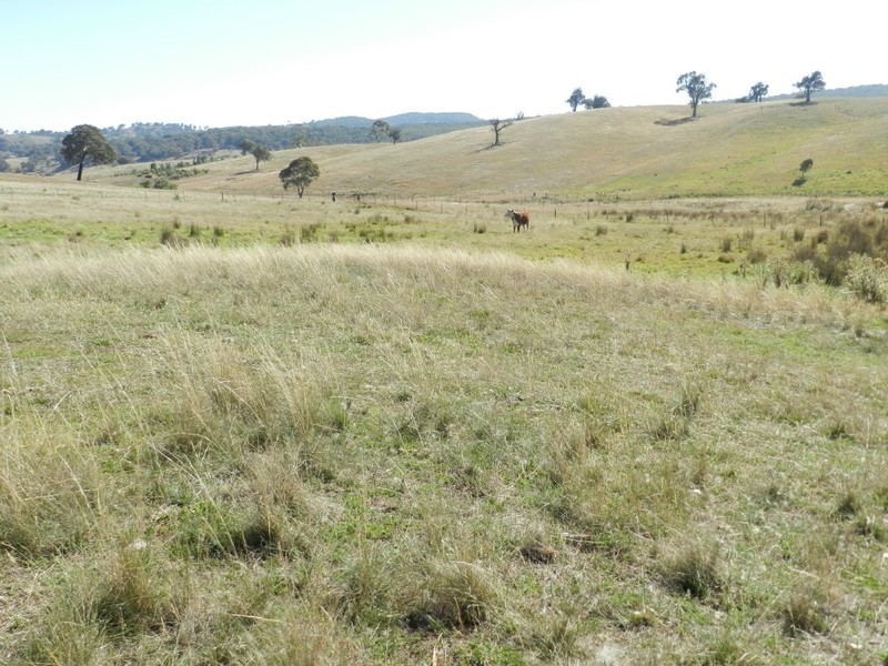 Lot 2 Karinya Road, Binda NSW 2583