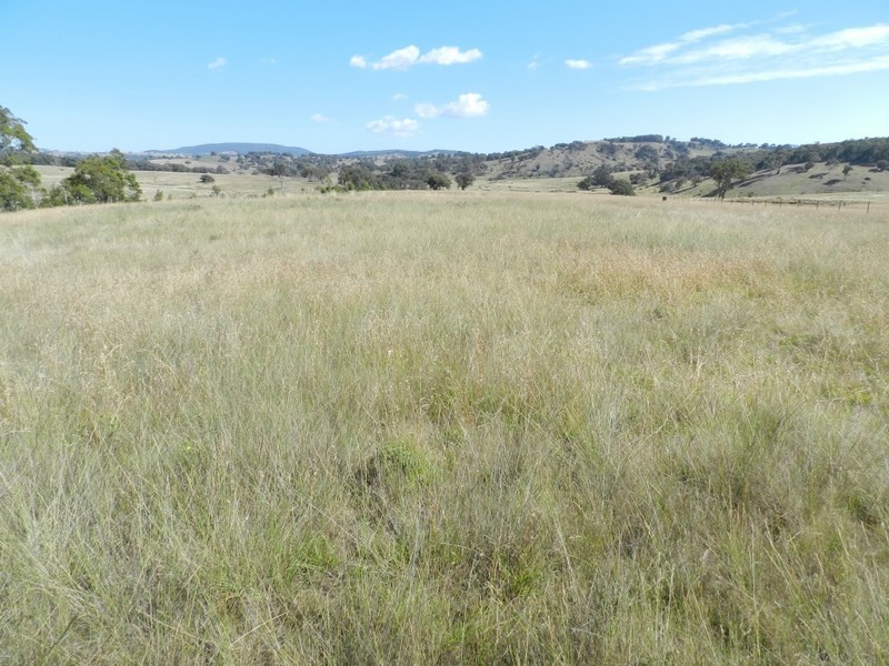 Lot 2 Karinya Road, Binda NSW 2583