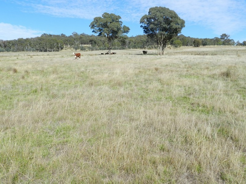 Lot 2 Karinya Road, Binda NSW 2583