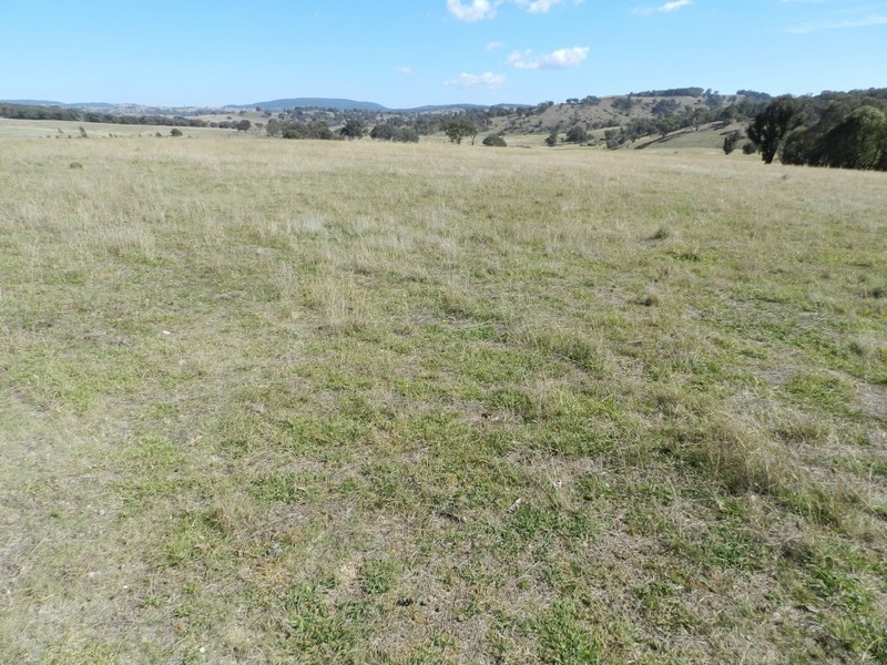 Lot 2 Karinya Road, Binda NSW 2583