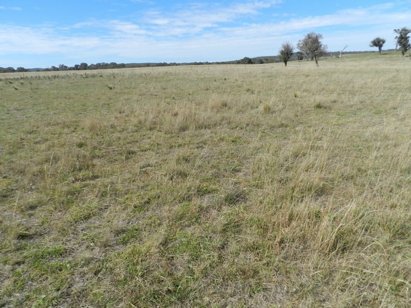 Lot 2 Karinya Road, Binda NSW 2583