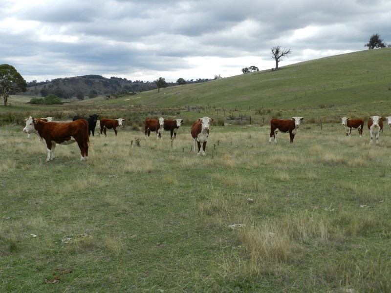 Lot 2 Karinya Road, Binda NSW 2583