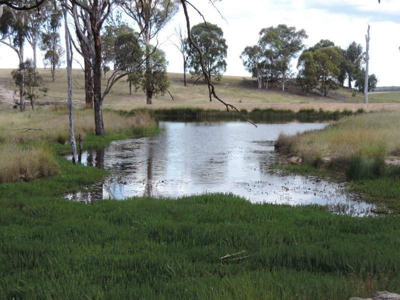 61 Hazelton Road, Bungonia NSW 2580