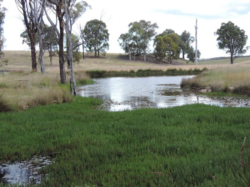 61 Hazelton Road, Bungonia NSW 2580