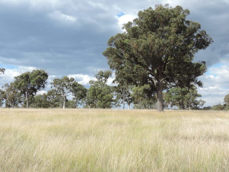 61 Hazelton Road, Bungonia NSW 2580