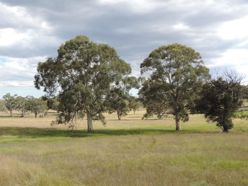 61 Hazelton Road, Bungonia NSW 2580