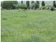 Lot 3 Martyn Street, Taralga NSW 2580