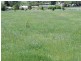 Lot 3 Martyn Street, Taralga NSW 2580