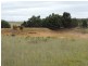 50 Minshull Road, Windellama NSW 2580