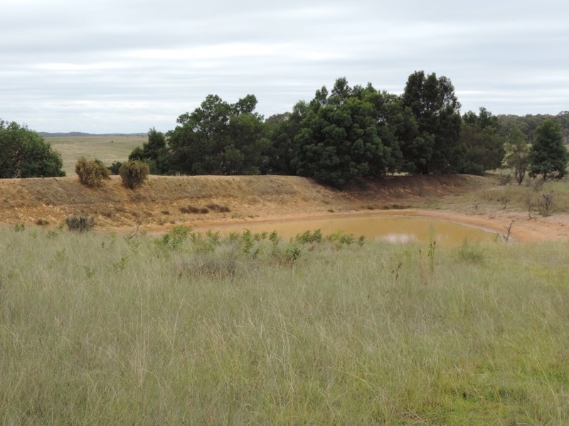 50 Minshull Road, Windellama NSW 2580