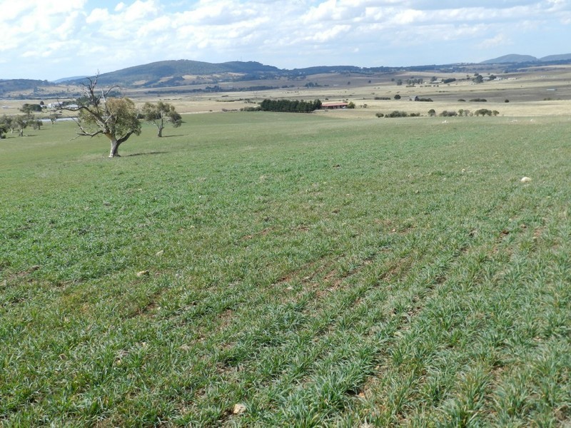 Lot 2 Gretta Road, Brisbane Grove NSW 2580