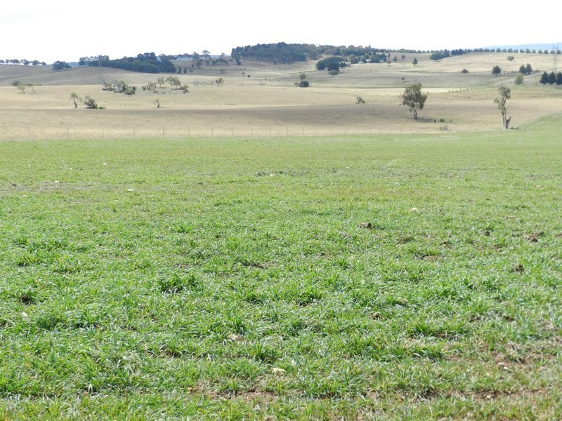 Lot 2 Gretta Road, Brisbane Grove NSW 2580