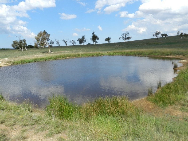 Lot 2 Gretta Road, Brisbane Grove NSW 2580