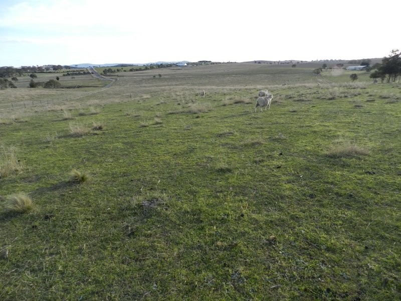 Lot 2 Gretta Road, Brisbane Grove NSW 2580