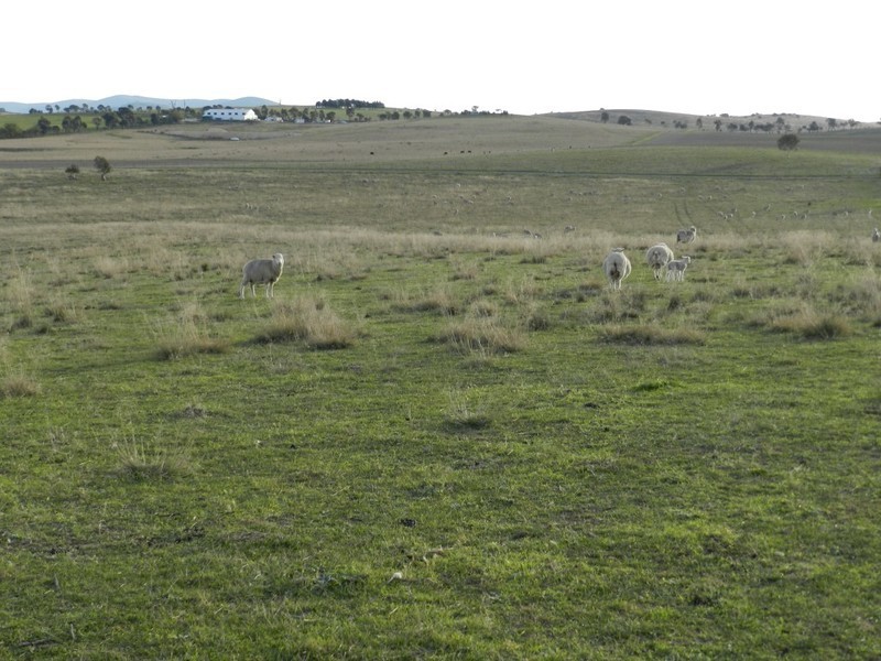 Lot 2 Gretta Road, Brisbane Grove NSW 2580