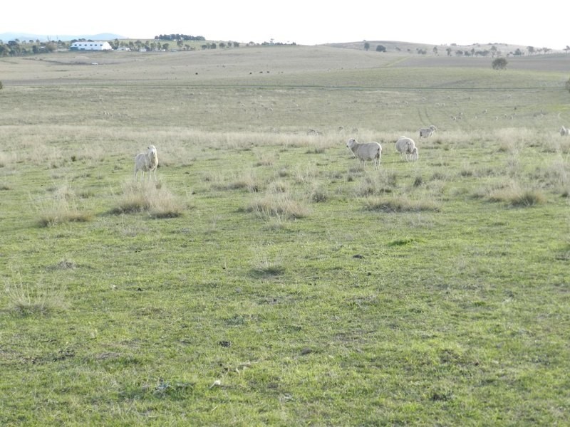 Lot 2 Gretta Road, Brisbane Grove NSW 2580