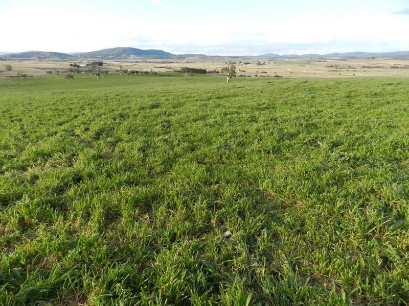 Lot 2 Gretta Road, Brisbane Grove NSW 2580