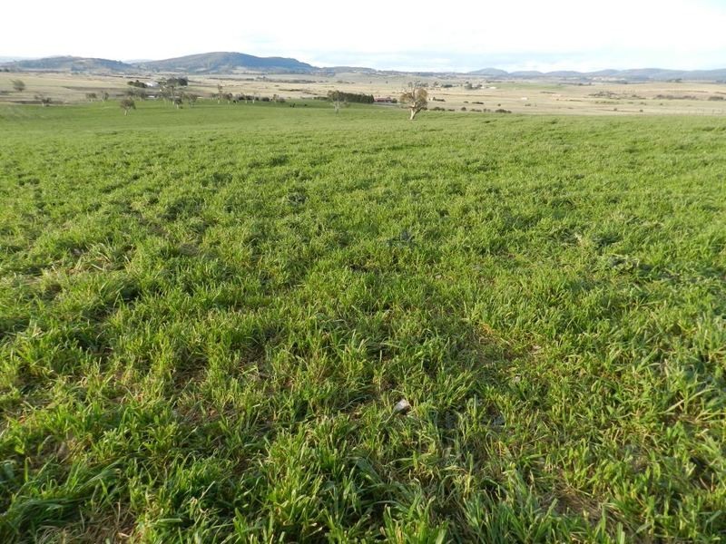 Lot 2 Gretta Road, Brisbane Grove NSW 2580