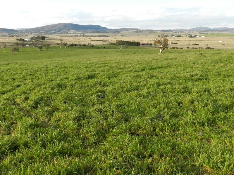 Lot 2 Gretta Road, Brisbane Grove NSW 2580