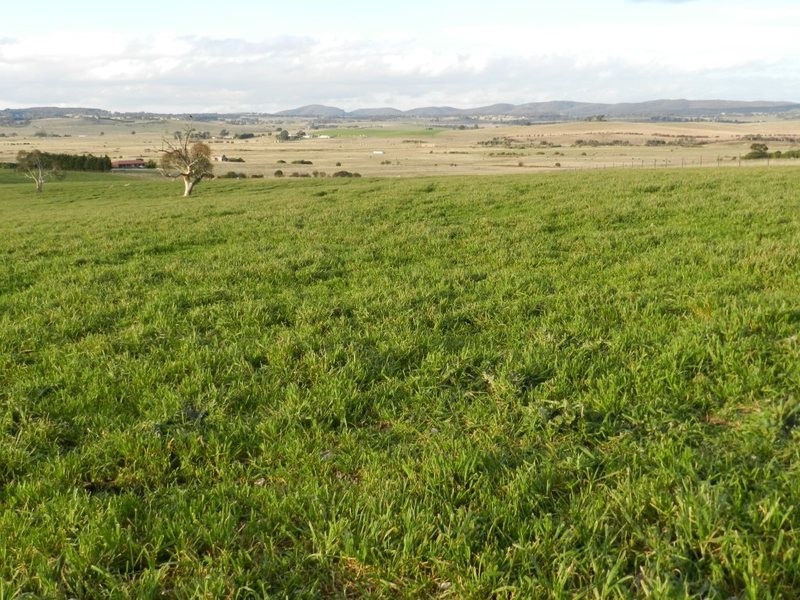 Lot 2 Gretta Road, Brisbane Grove NSW 2580