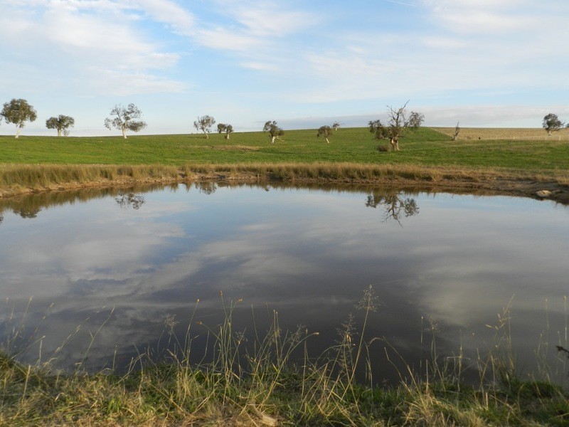 Lot 2 Gretta Road, Brisbane Grove NSW 2580