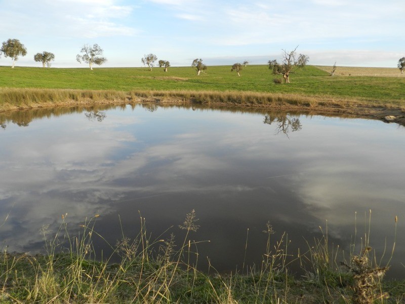 Lot 2 Gretta Road, Brisbane Grove NSW 2580