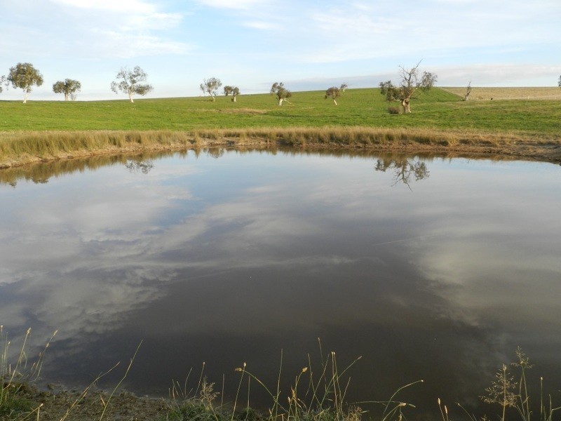 Lot 2 Gretta Road, Brisbane Grove NSW 2580