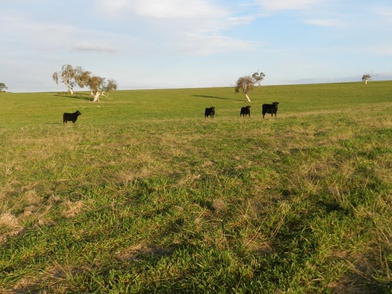 Lot 2 Gretta Road, Brisbane Grove NSW 2580