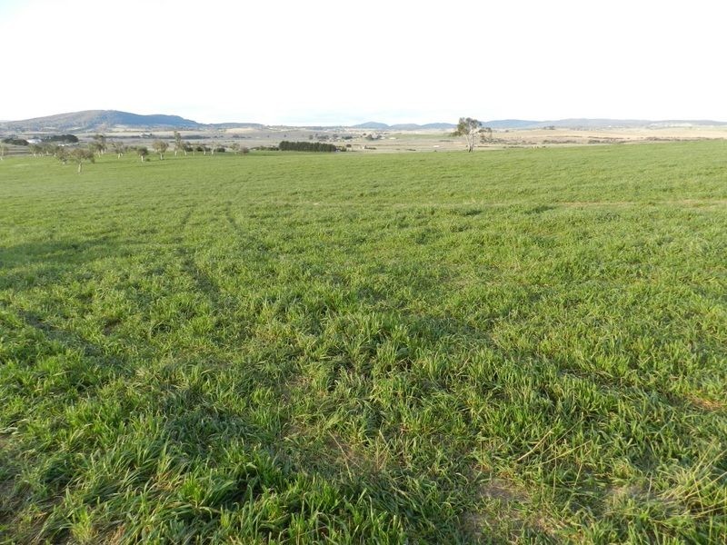 Lot 2 Gretta Road, Brisbane Grove NSW 2580