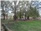 298 Windellama Road, Goulburn NSW 2580