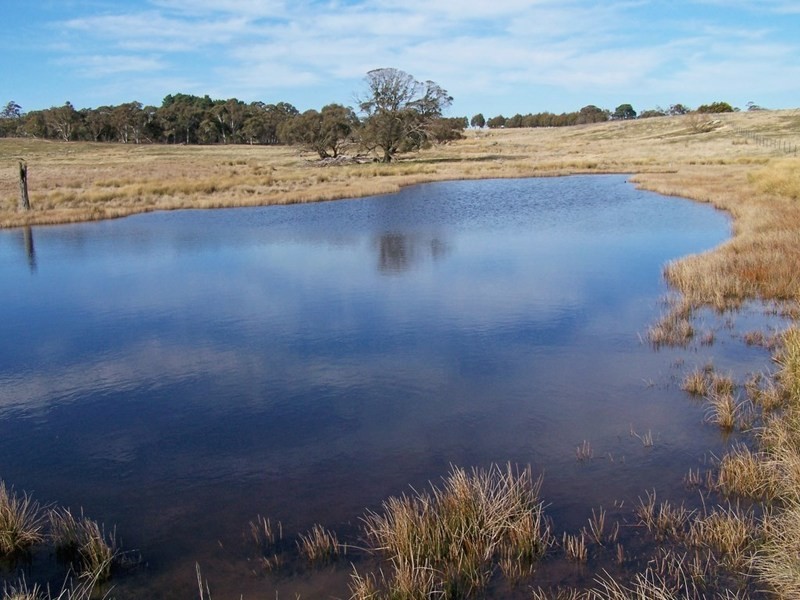 2101 Woodhouselee Road, Laggan NSW 2583