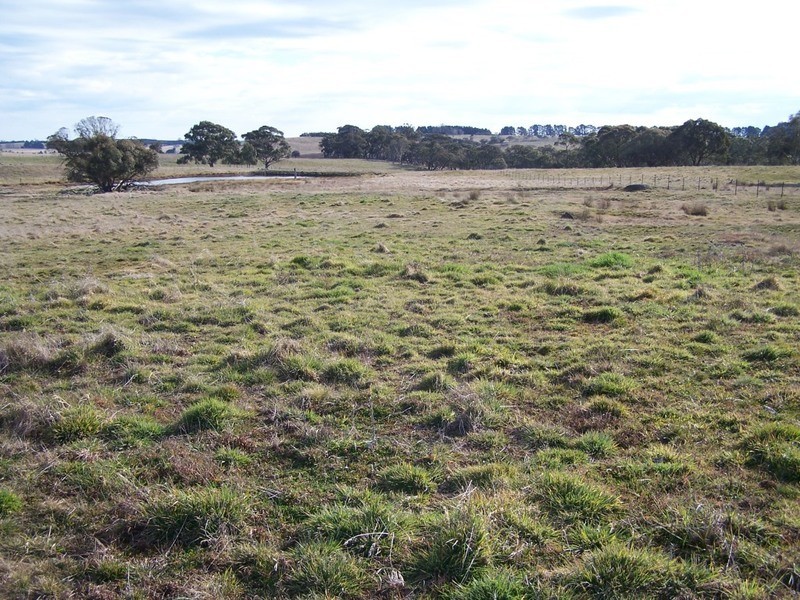 2101 Woodhouselee Road, Laggan NSW 2583