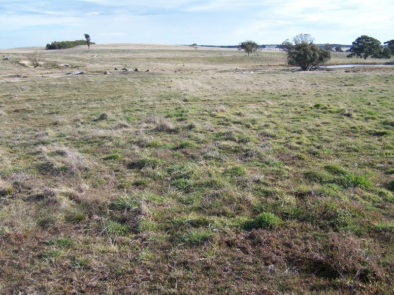 2101 Woodhouselee Road, Laggan NSW 2583