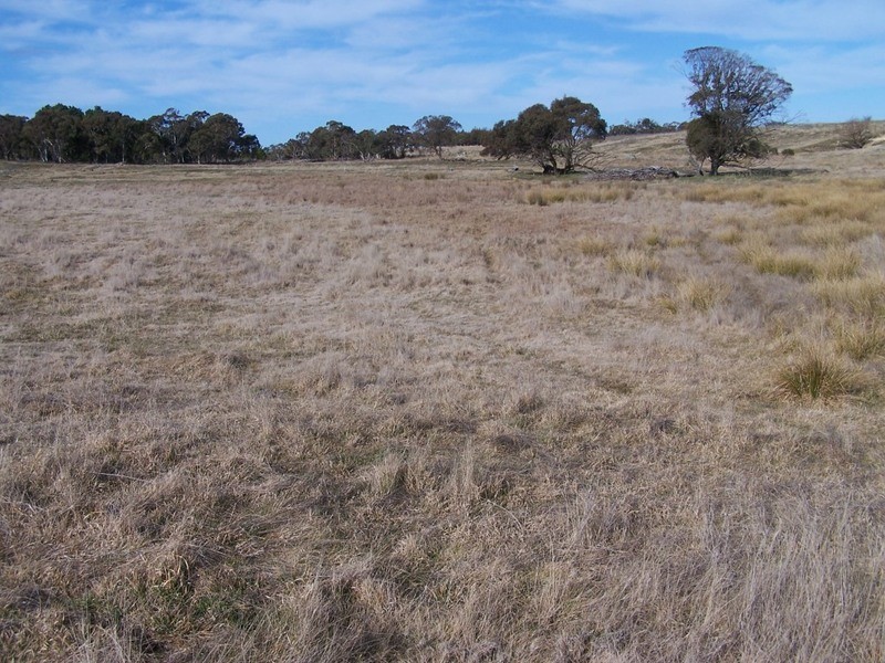 2101 Woodhouselee Road, Laggan NSW 2583