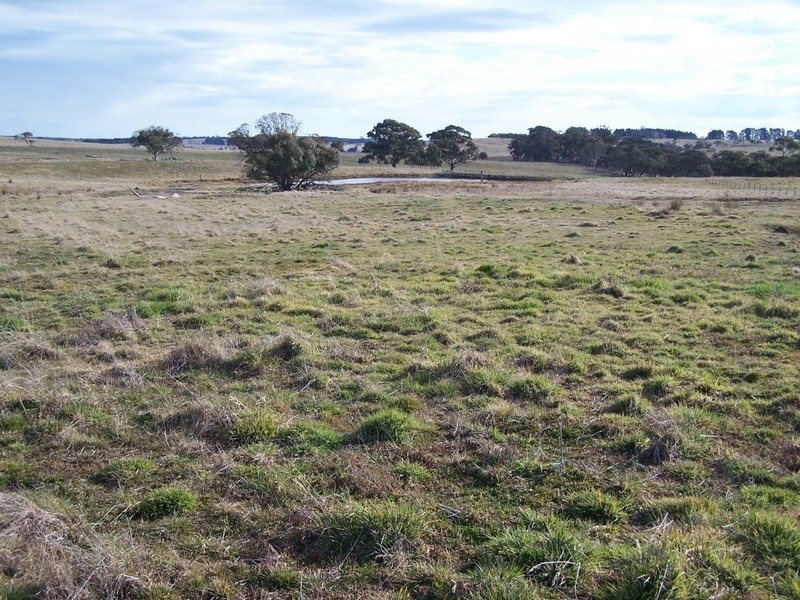 2101 Woodhouselee Road, Laggan NSW 2583