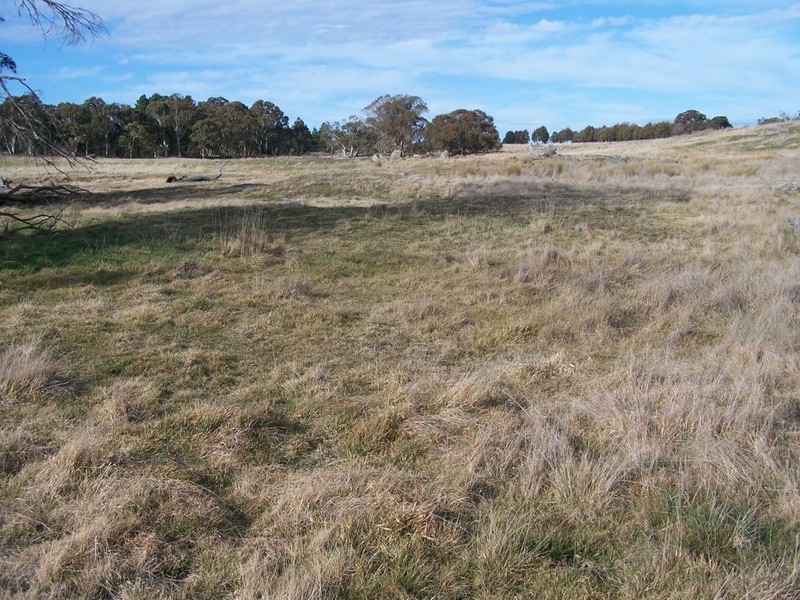 2101 Woodhouselee Road, Laggan NSW 2583