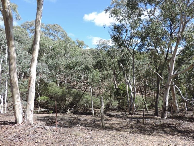 28 The Glenn Road, Jerrong NSW 2580