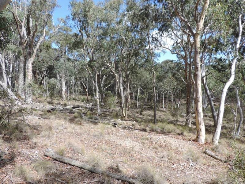 28 The Glenn Road, Jerrong NSW 2580