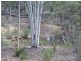 28 The Glenn Road, Jerrong NSW 2580