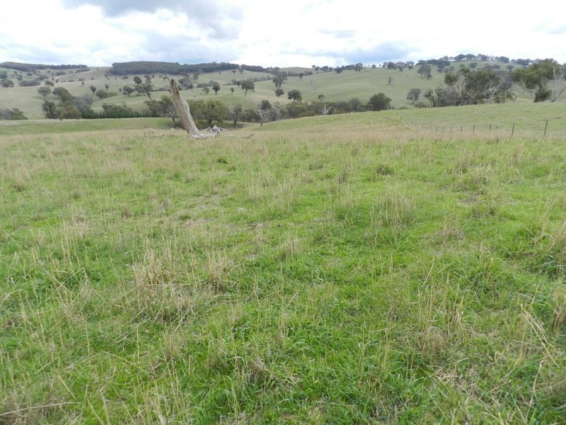 Lot 4 Julong Road, Binda NSW 2583