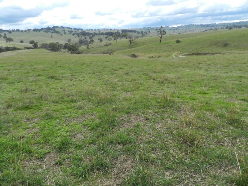 Lot 4 Julong Road, Binda NSW 2583