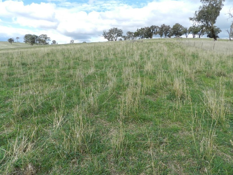 Lot 4 Julong Road, Binda NSW 2583