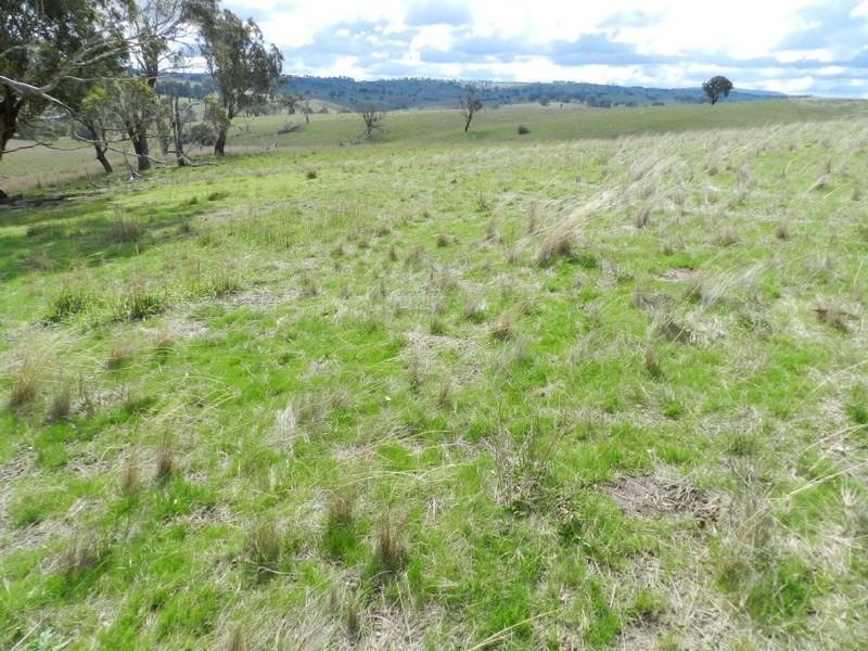 Lot 4 Julong Road, Binda NSW 2583