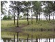 Bungaree 68 Tallawa Road, Tallong NSW 2579
