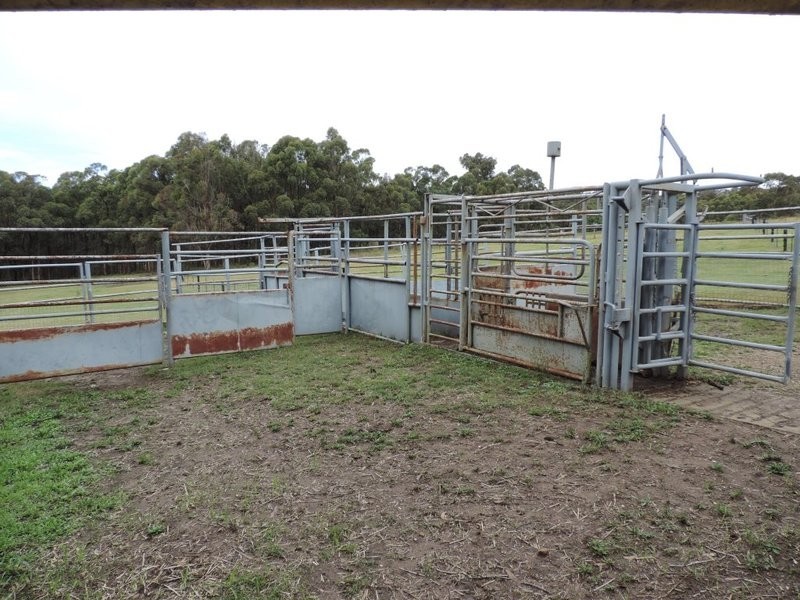 Bungaree 68 Tallawa Road, Tallong NSW 2579