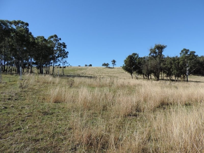 2488 Towrang Road, Brayton NSW 2579