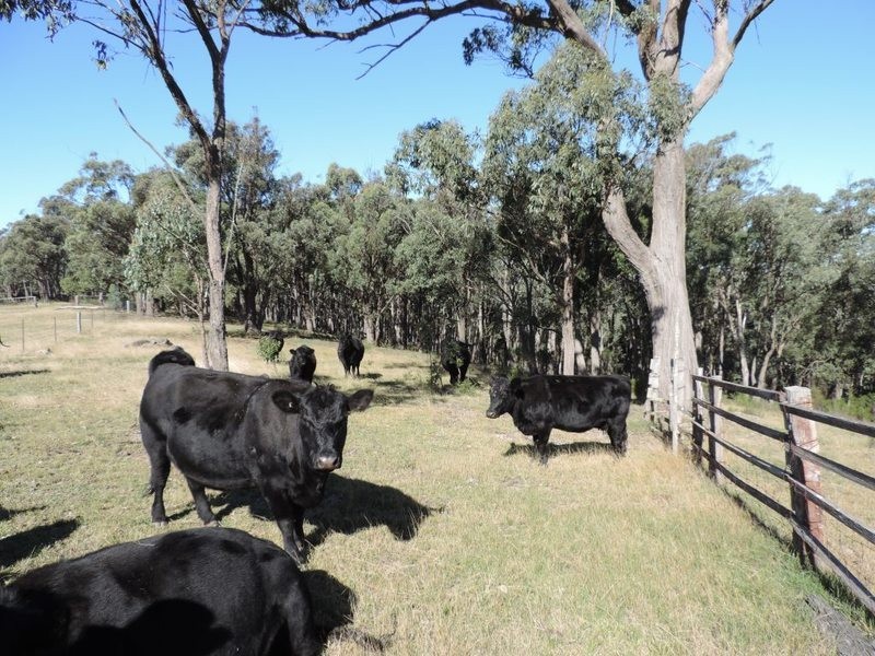 2488 Towrang Road, Brayton NSW 2579