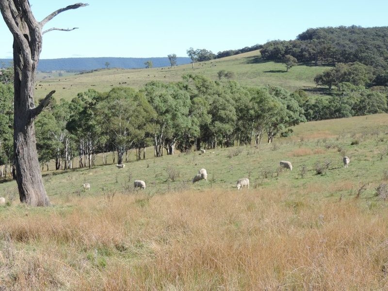 2488 Towrang Road, Brayton NSW 2579